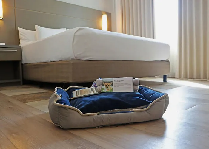 By Marriott Hotel 3*